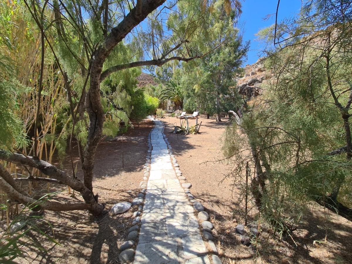 Nature Eco Living Serifos Livadi  Exteriör bild
